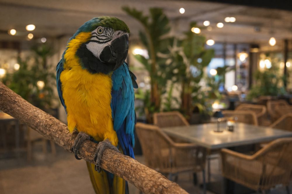 delicious-breakfast-in-universal-paphos-dive-into-morning-bliss